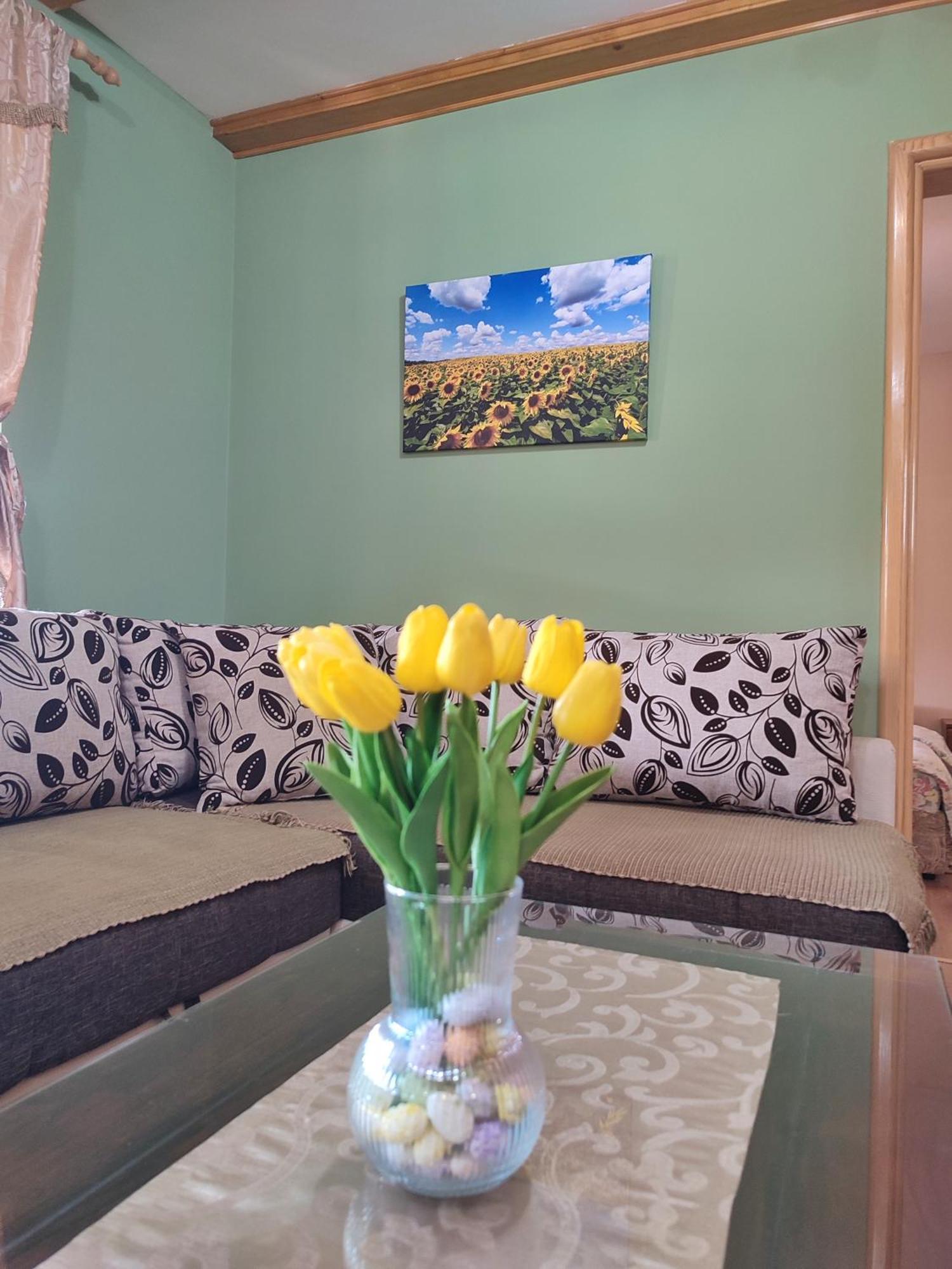 Eko Apartmani Backi Petrovac Room photo